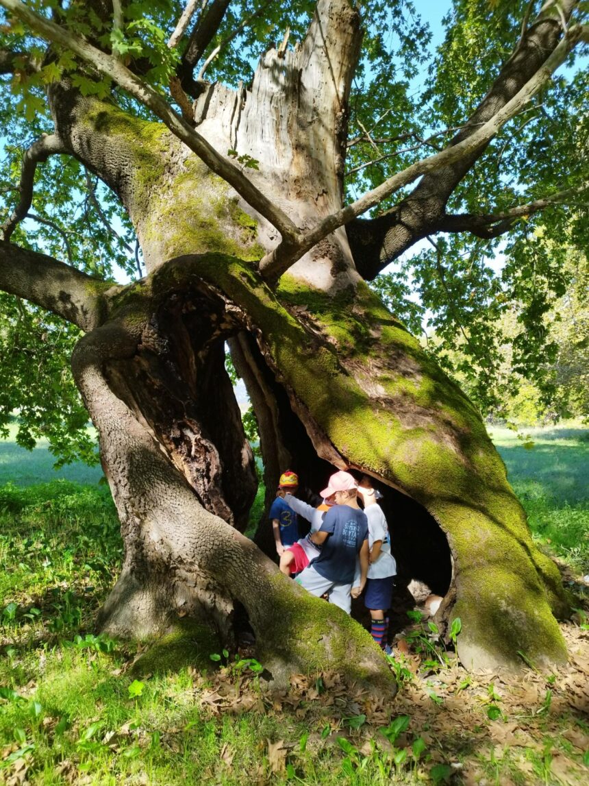Το Tender Care πάει … Παρνασσό!